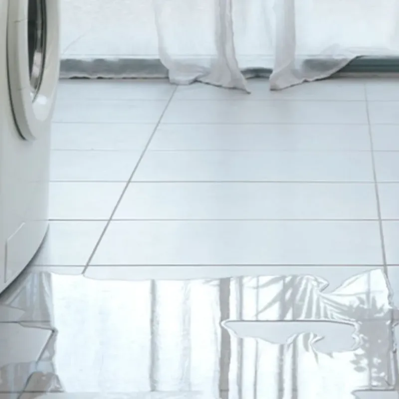 Appliance Leak Cleanup in LaSalle County, IL