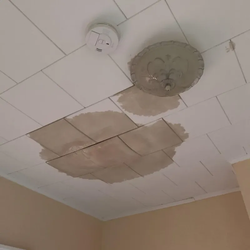 Ceiling Water Damage Repair in LaSalle County, IL