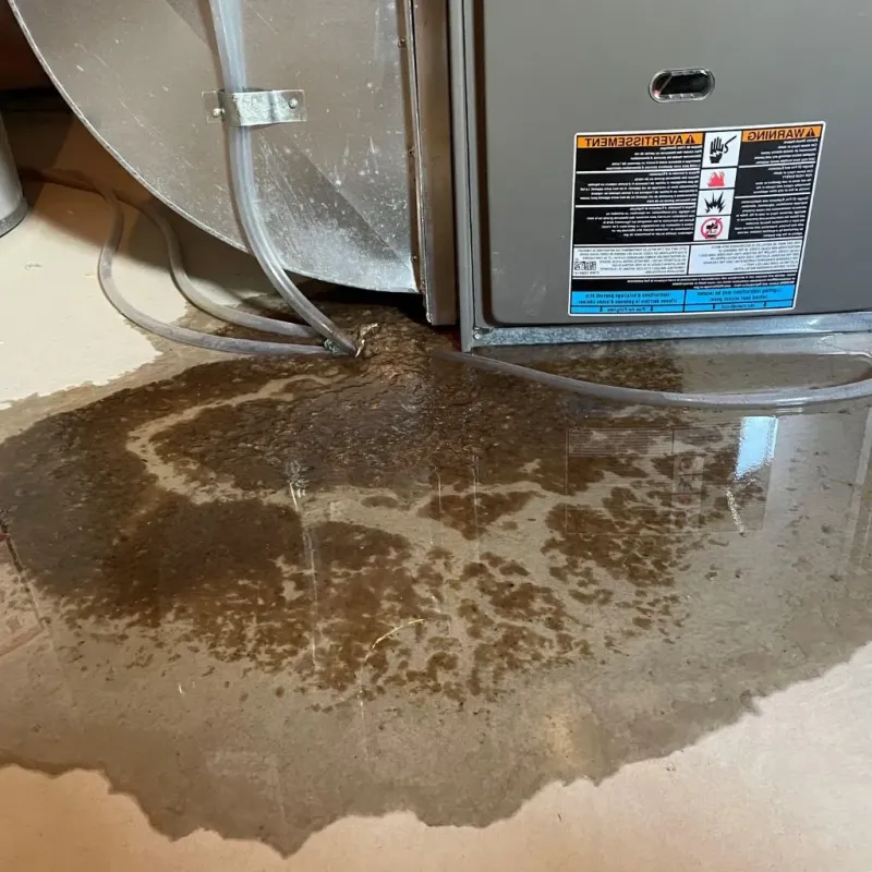 Pipe Burst and Leak Restoration in LaSalle County, IL